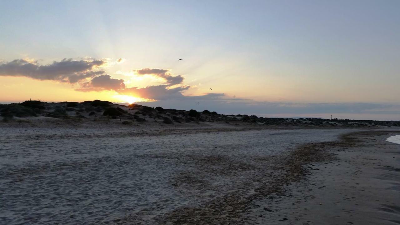 Urbanizacion Puerto Romano - Playa لا ماتا المظهر الخارجي الصورة